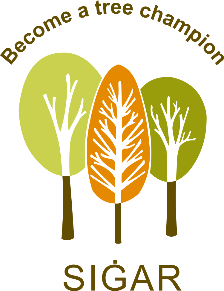 Sigar Logo